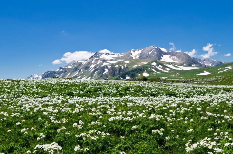 Горы адыгеи