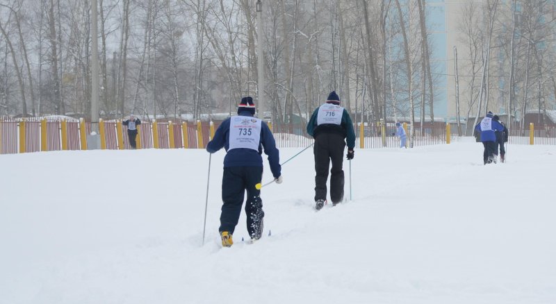 Сосновый бор лыжная трасса кострома