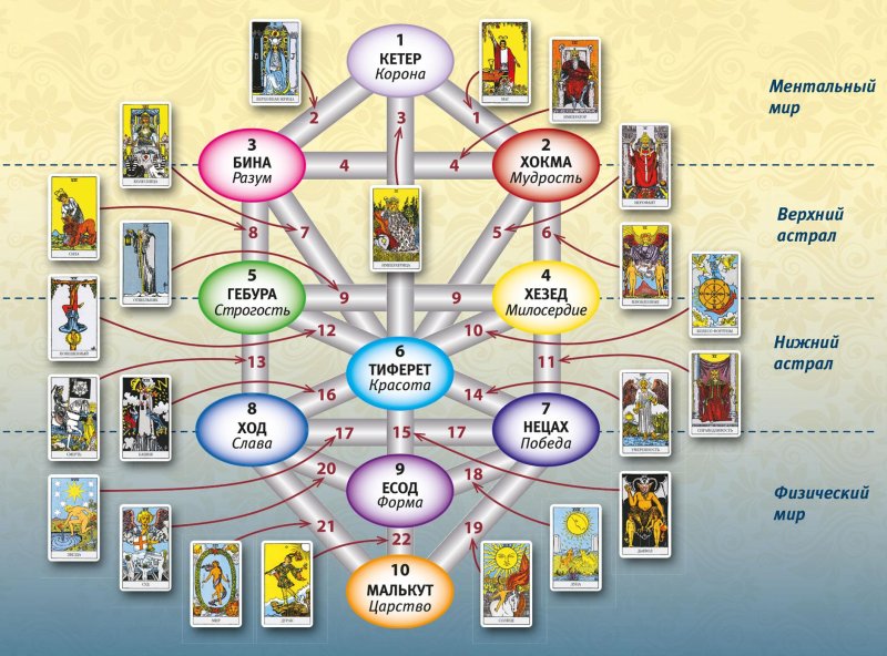 Дерево сефирот древо жизни