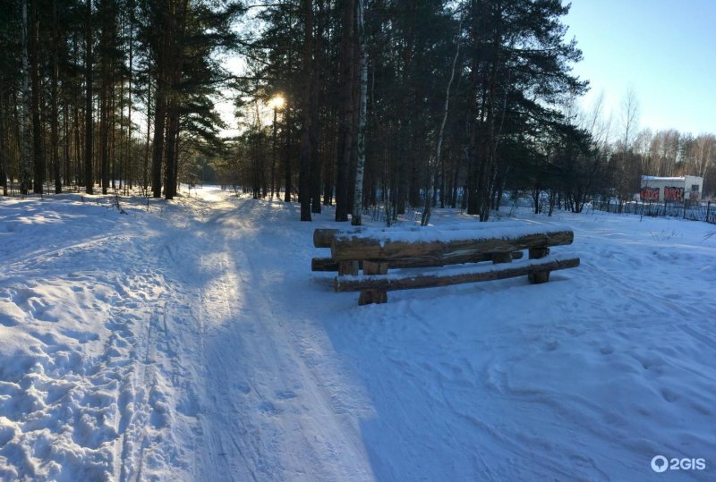 Парк тверицкий бор