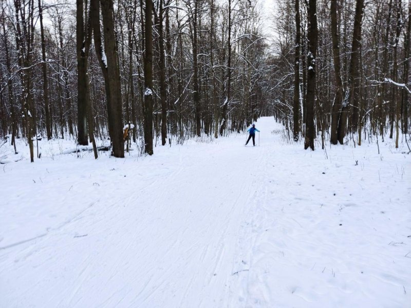 Серебряный бор лыжня