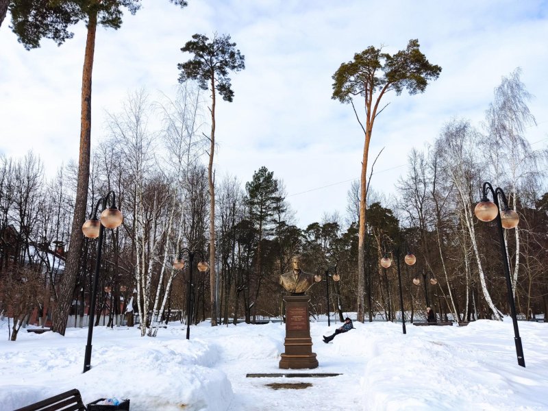 Лесопарк городской бор серпухов