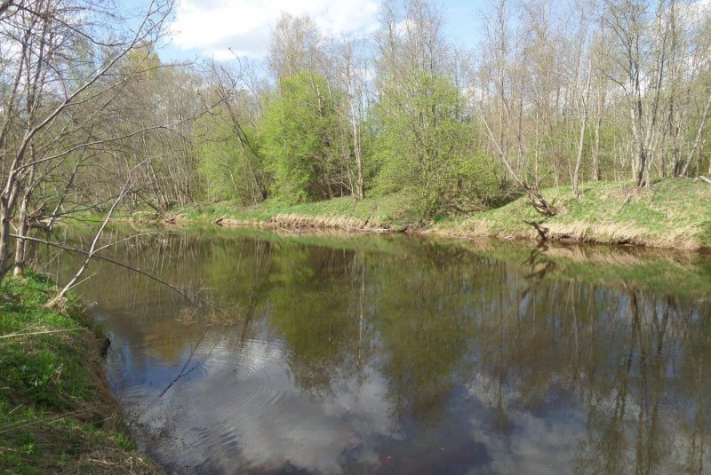 Река береза тверская область