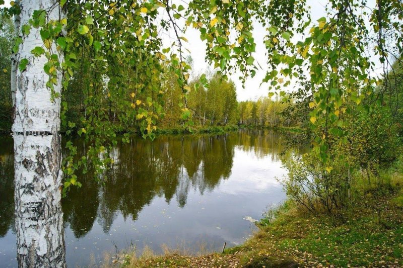 Река береза тверская область