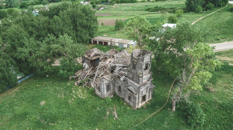 Разрушенное дерево