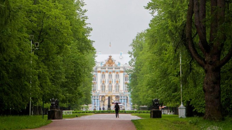 Екатерининский парк деревья