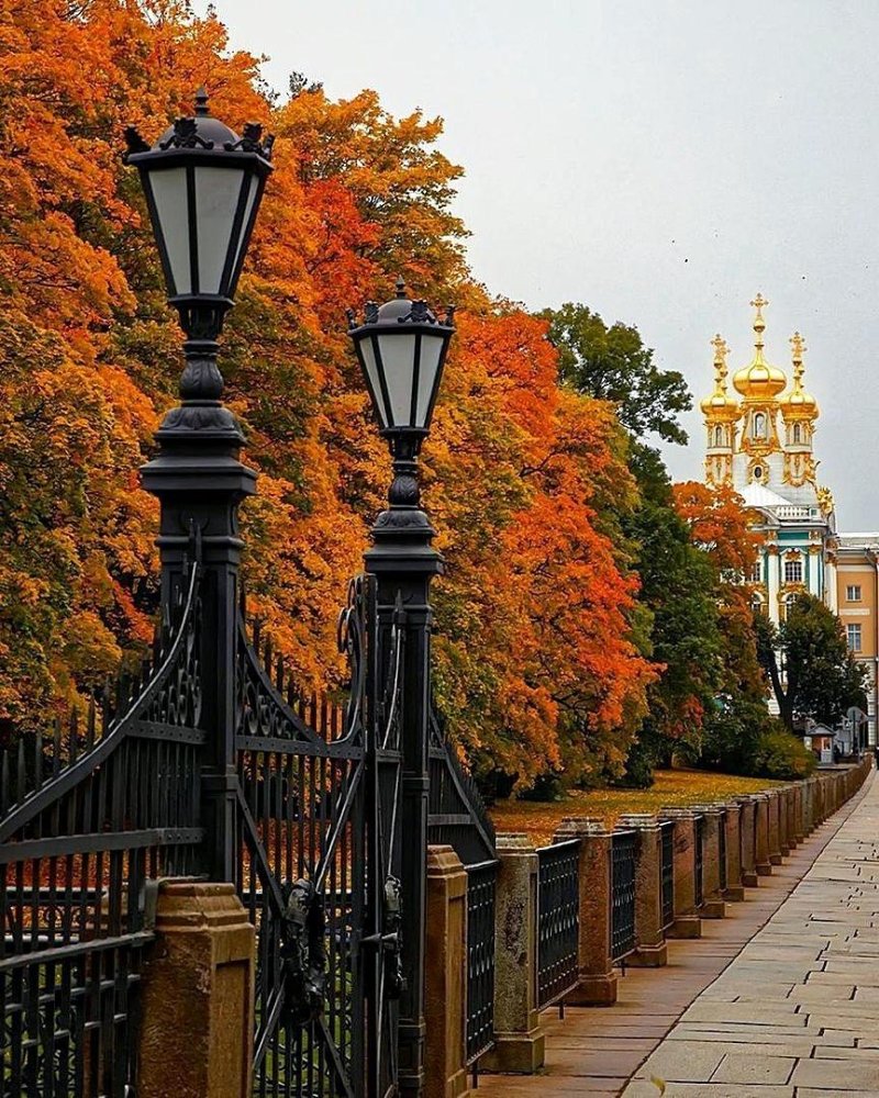 Екатерининский парк деревья