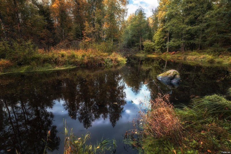 Линдуловская роща осень