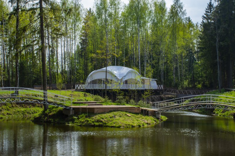 Березовая роща солнечногорск