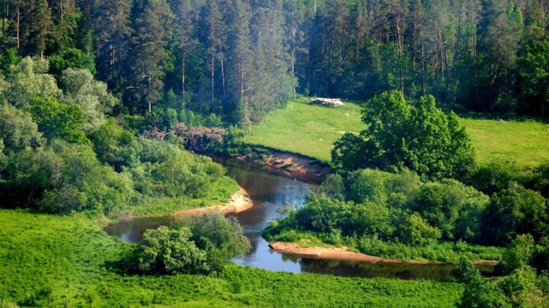 Лесные ресурсы польши