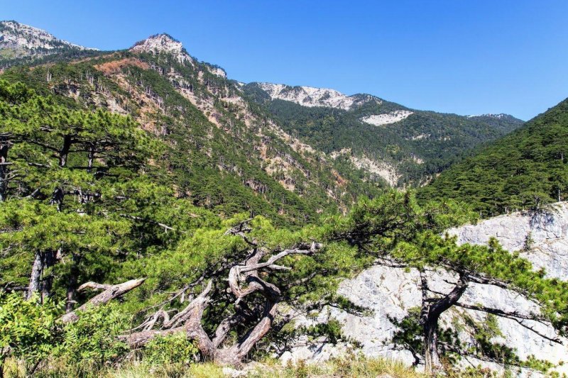 Горно лесной заповедник ялта