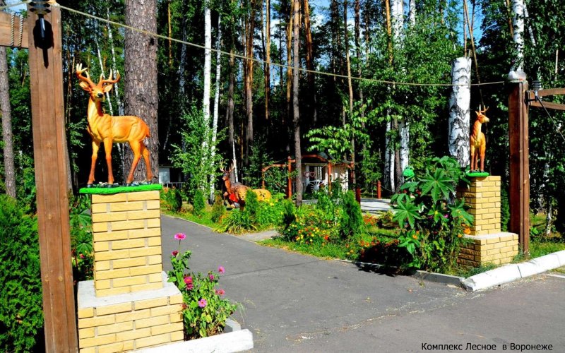 Парк северный лес воронеж