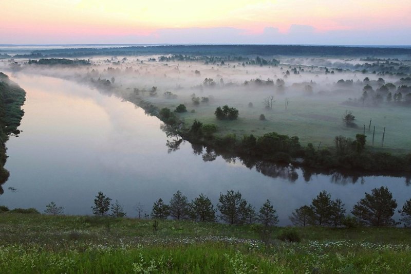 Брянский лес