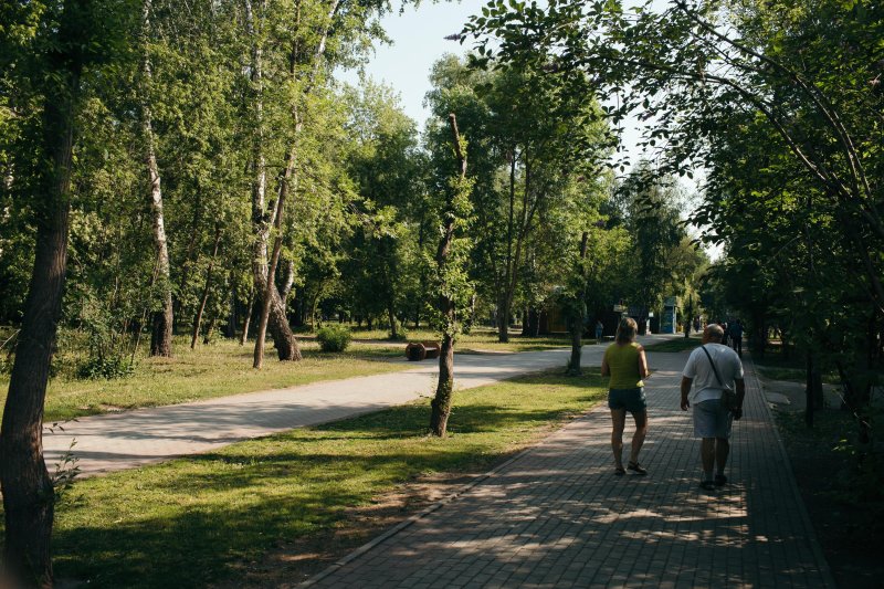 Березовая роща красноярск