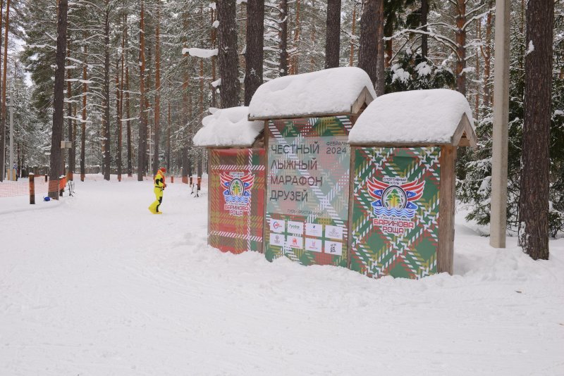 Баринова роща гусь хрустальный лес