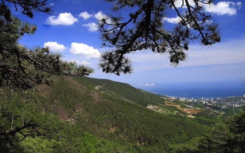 Горно лесной заповедник ялта