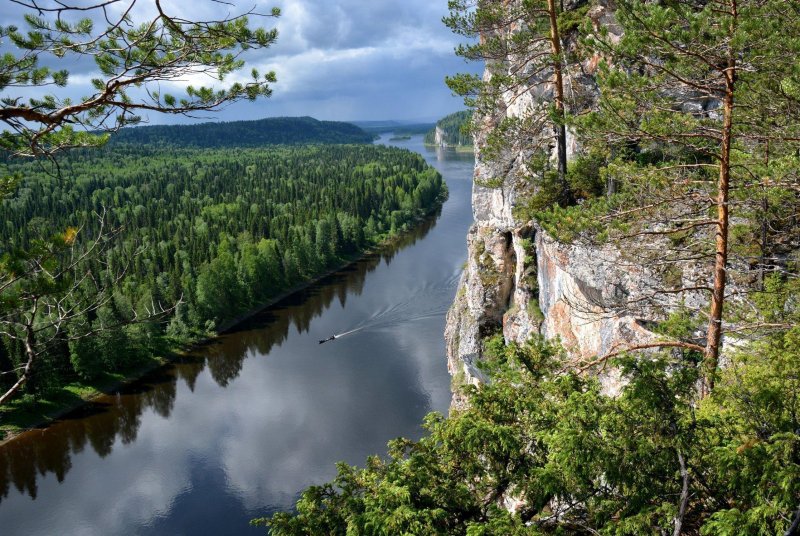 Леса пермского края