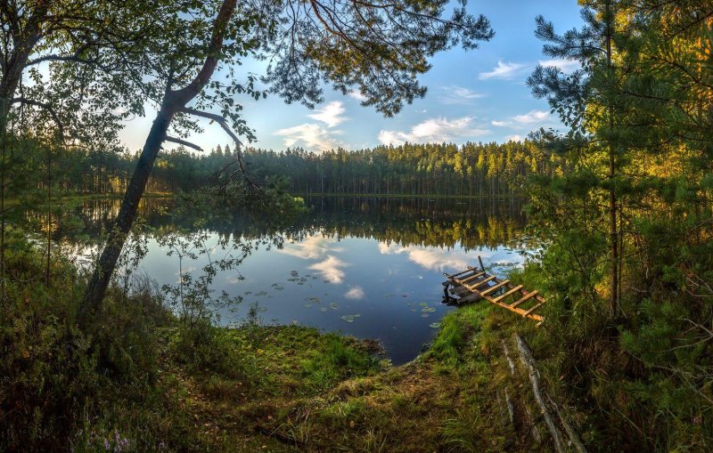 Лесное озеро в ленинградской области