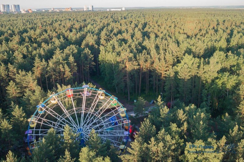 Балатовский парк черняевский лес пермь