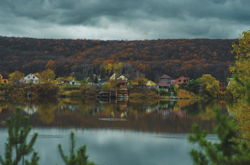 Сосновка белгород лес