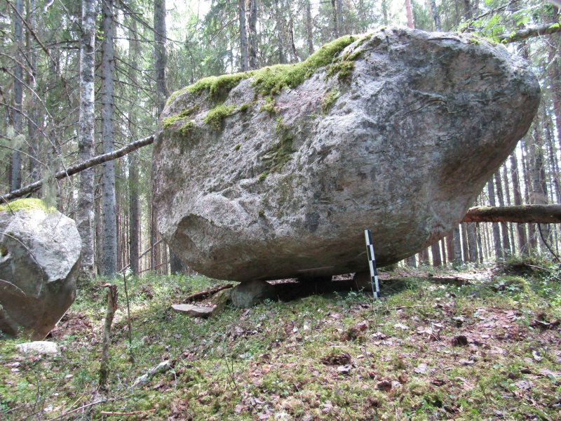 Каменный лес карелия