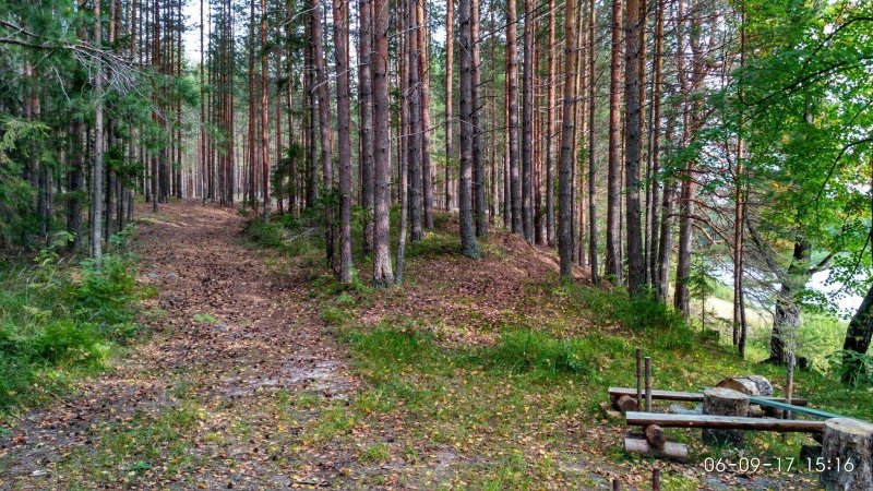 Заказник черустинский лес