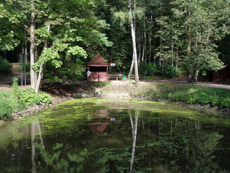 Битцевский лес родник