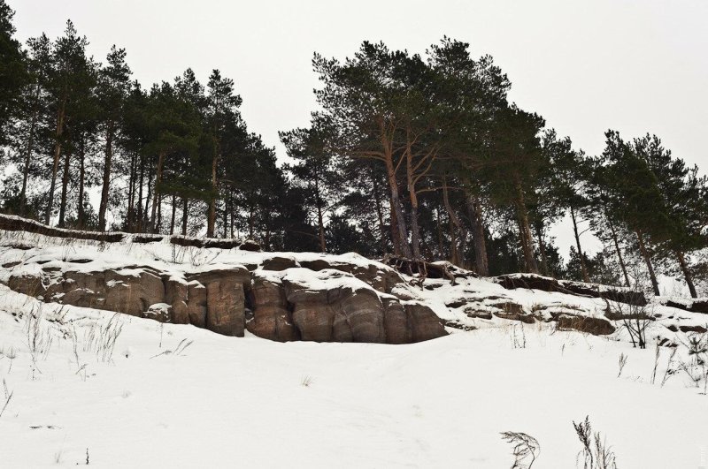 Андроновский лес пермь