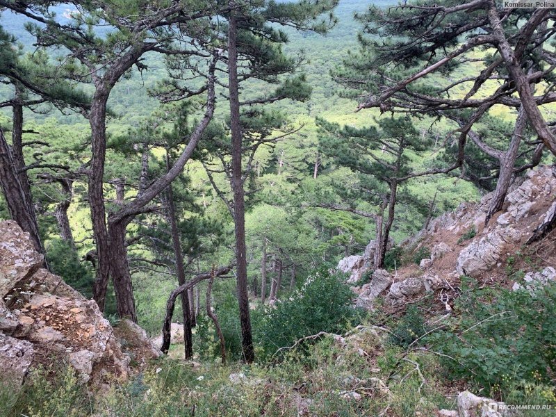 Горно лесной заповедник ялта