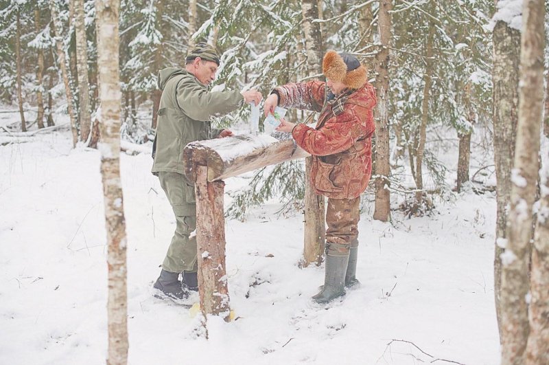 Егерь в лесу