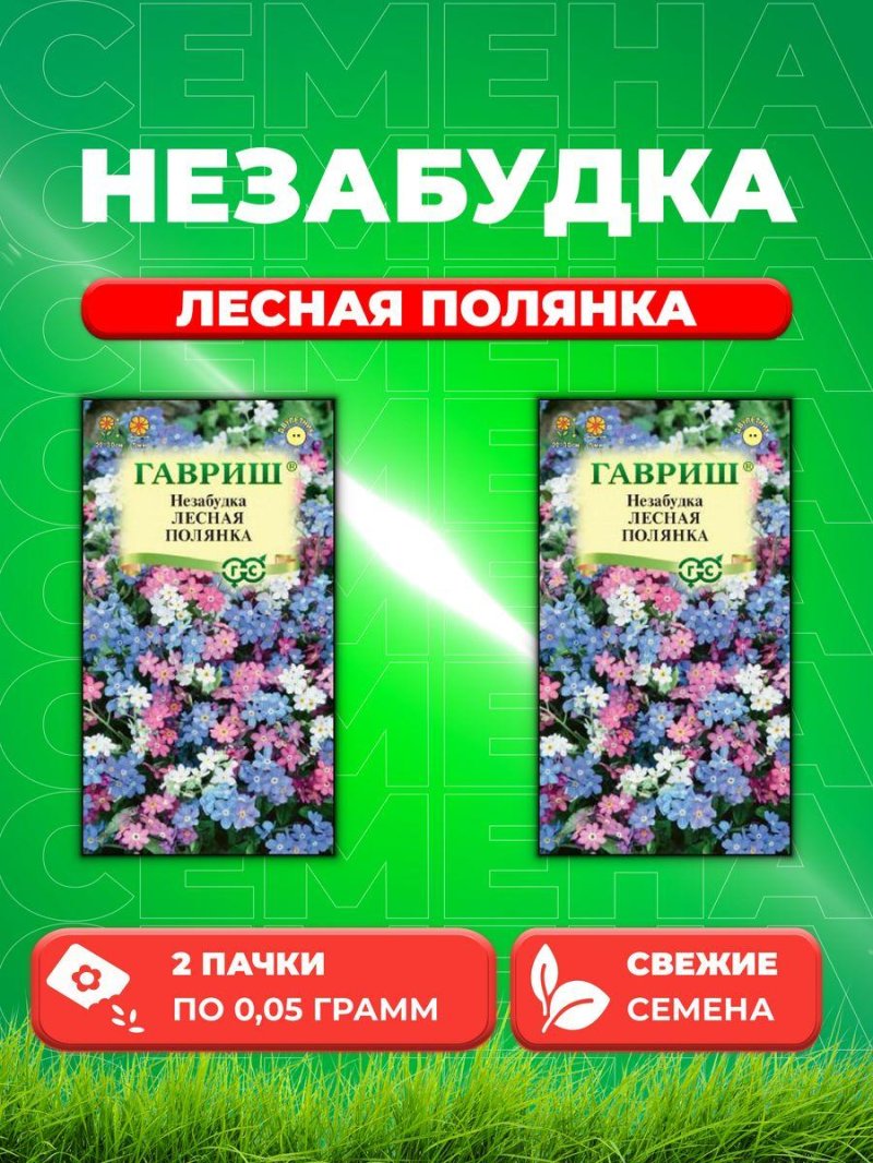 Незабудка лесная поляна