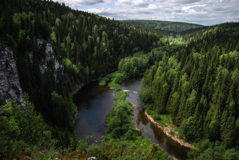 Леса пермского края