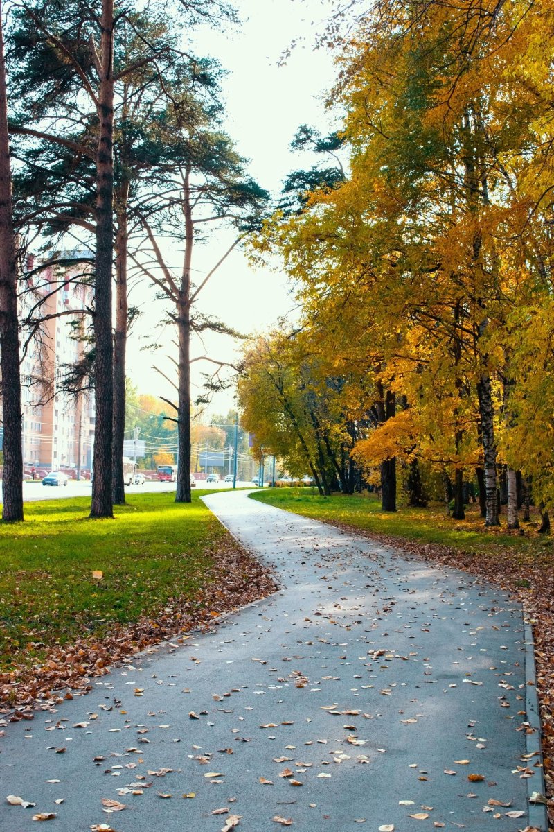 Балатовский парк черняевский лес пермь