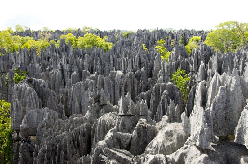 Каменный лес карелия