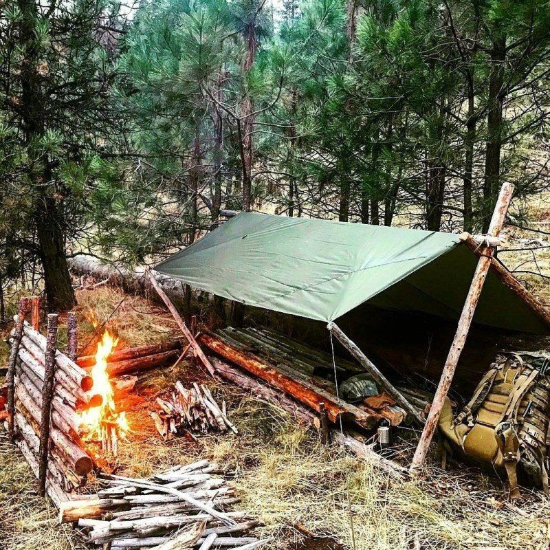 Бушкрафт лагерь в лесу