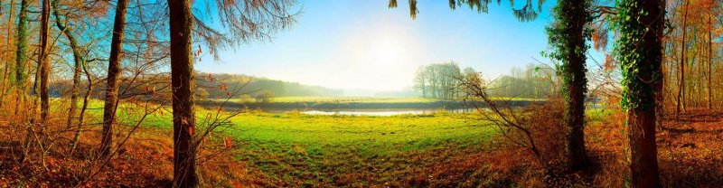 Осенний лес панорама