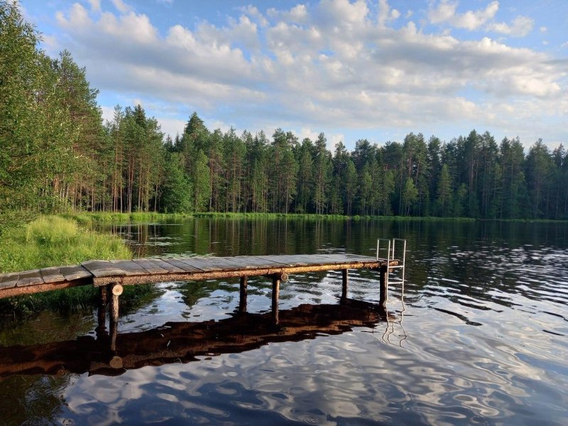 Лесное озеро в ленинградской области