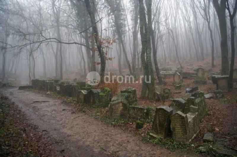 Заброшенное кладбище в лесу