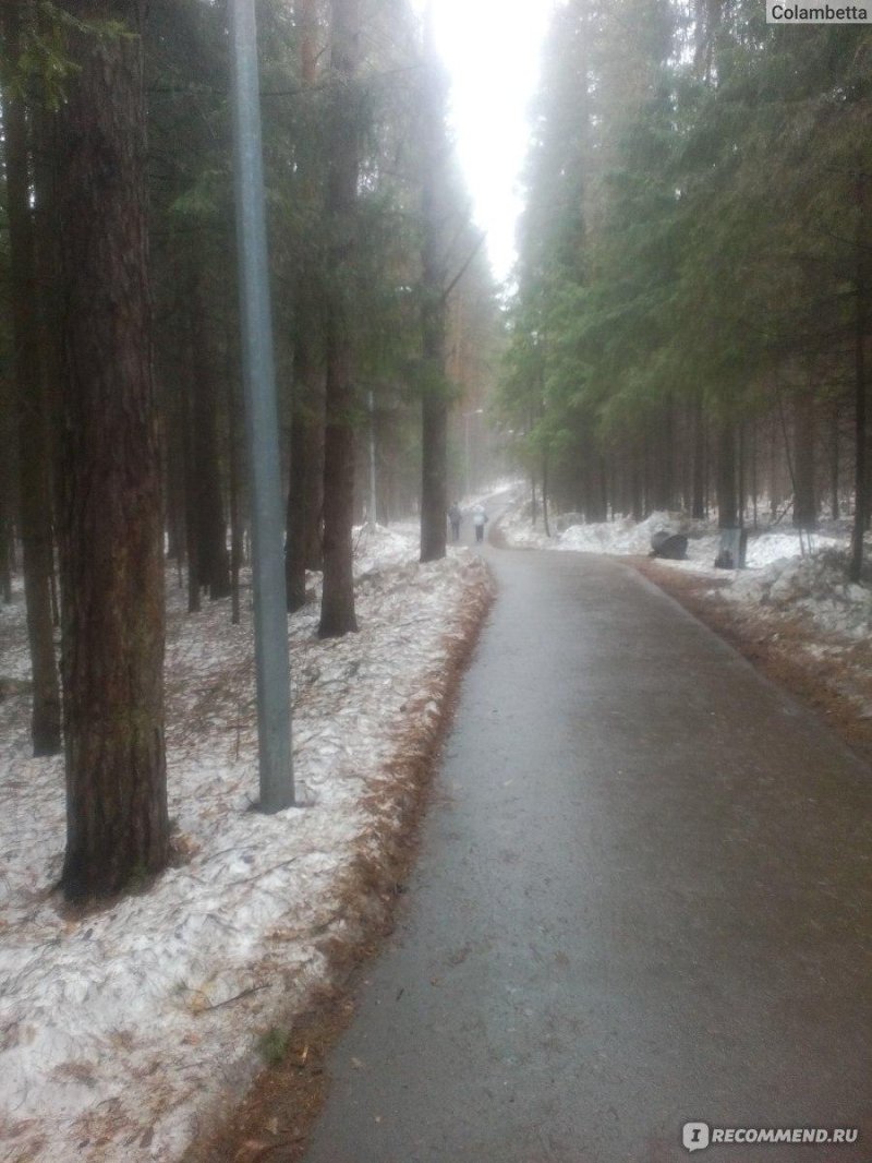 Балатовский парк черняевский лес пермь