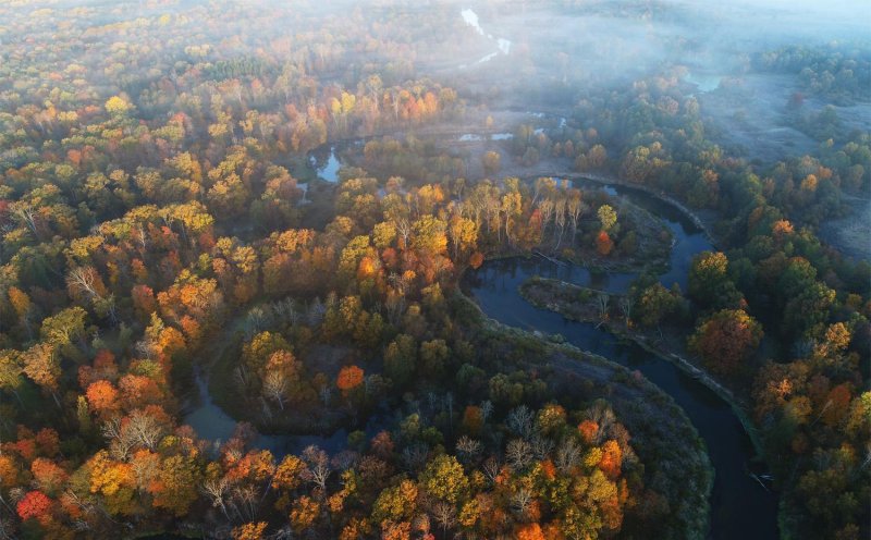 Брянск заповедник брянский лес