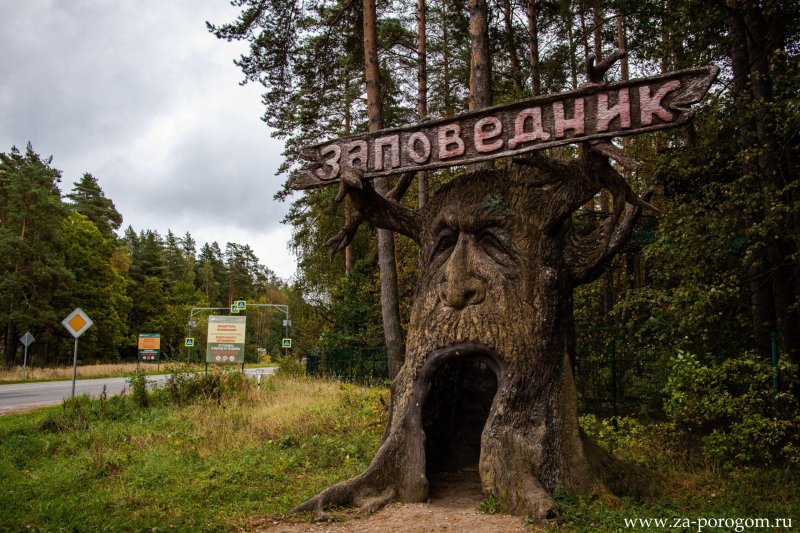 Приокско террасный заповедник лес