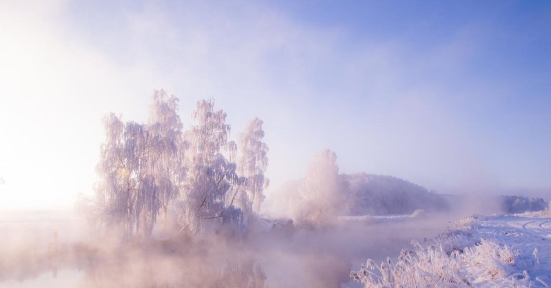 Морозное утро в лесу