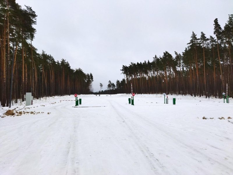 Ромашковский лес москва