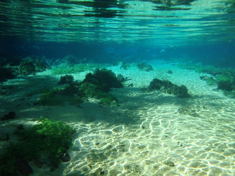 Черное море под водой