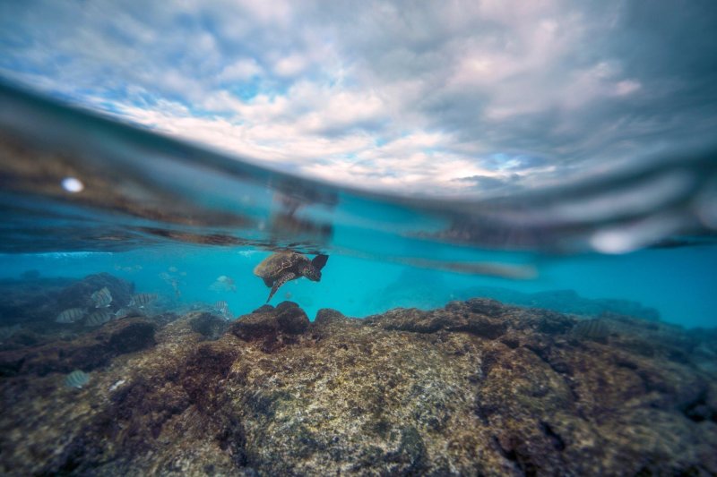 Черное море под водой