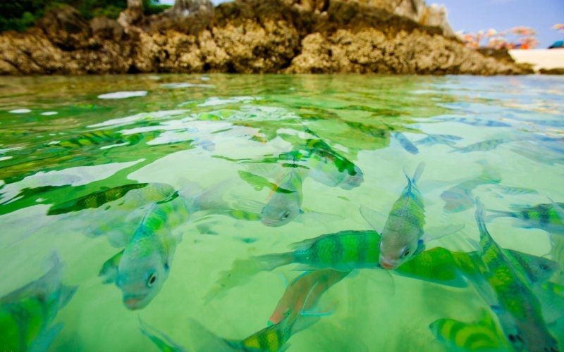 Прозрачная вода в море