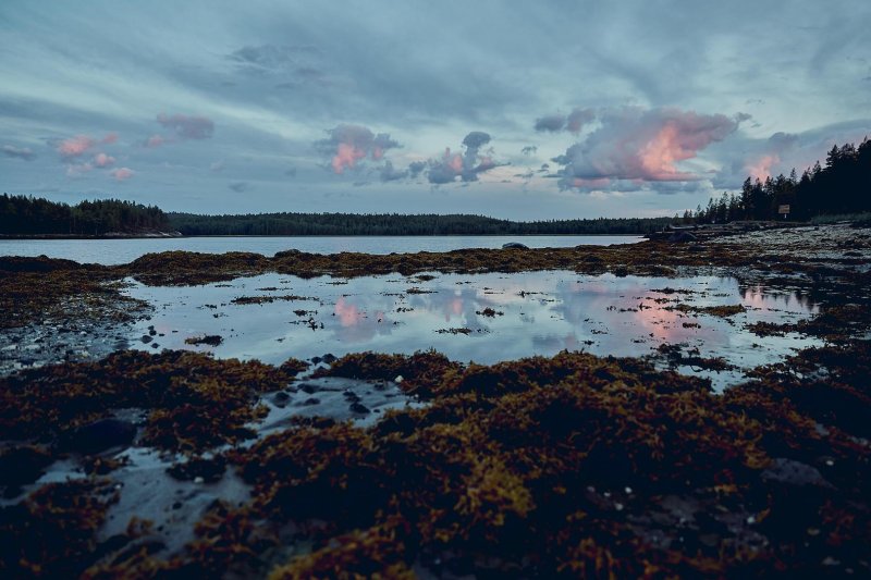 Карелия белое море