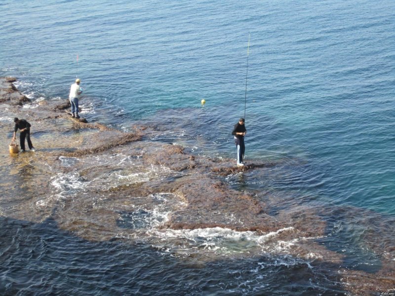 Рыбалка на черном море