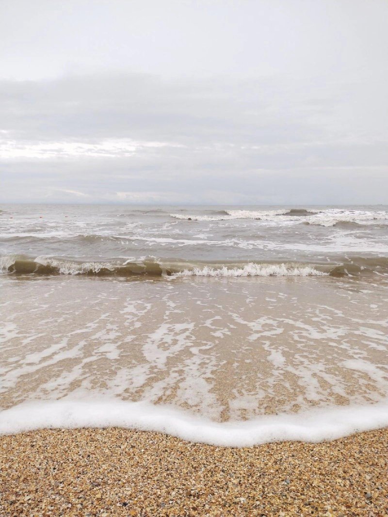 Азовское море зацвело