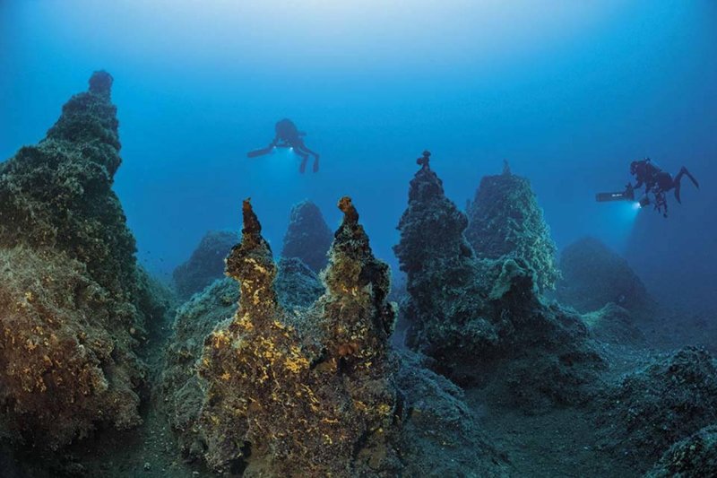 Средиземное море подводный мир